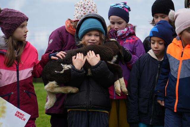 Foto: Julia Perktold