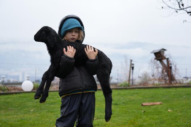 Foto: Julia Perktold