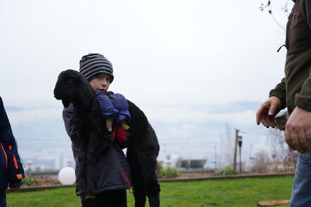 Foto: Julia Perktold