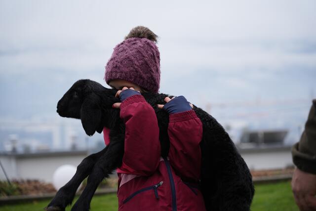 Foto: Julia Perktold