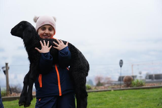 Foto: Julia Perktold