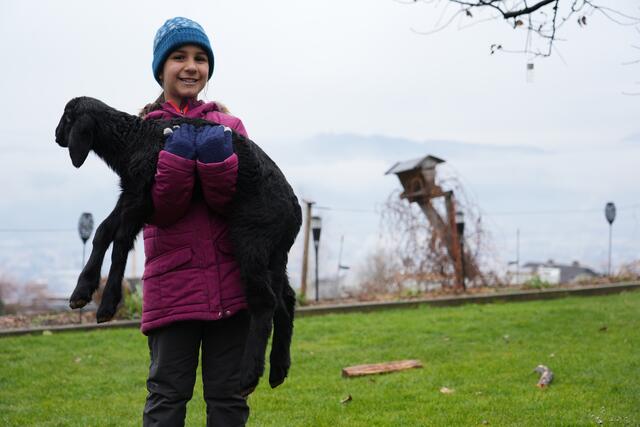 Foto: Julia Perktold