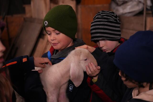 Foto: Julia Perktold