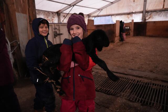 Foto: Julia Perktold