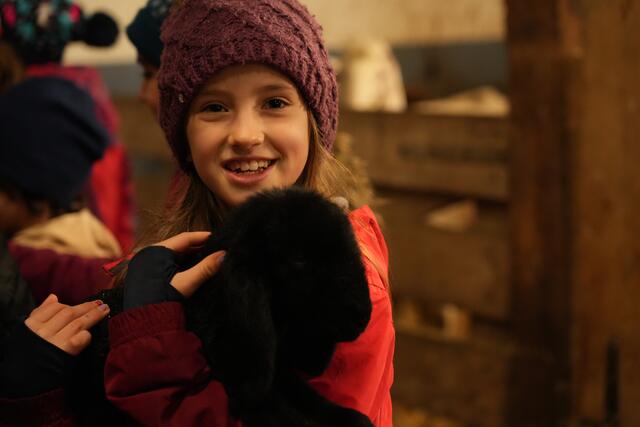 Foto: Julia Perktold