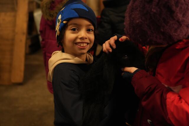 Foto: Julia Perktold