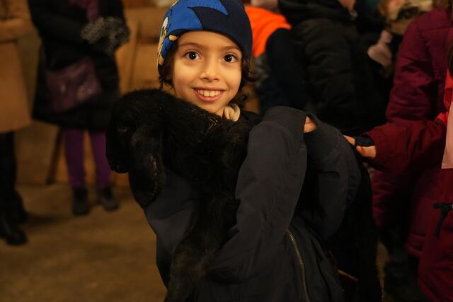 Foto: Julia Perktold