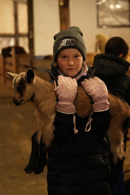 Foto: Julia Perktold