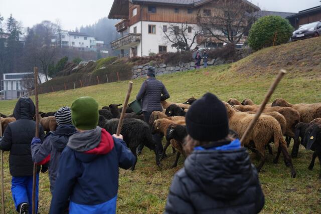 Foto: Julia Perktold