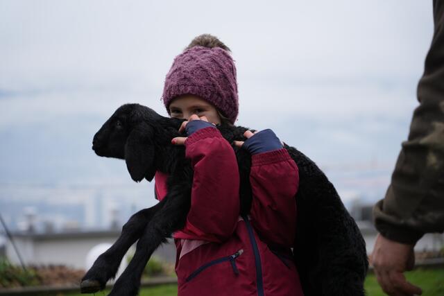 Foto: Julia Perktold