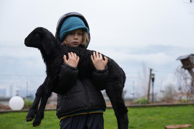 Foto: Julia Perktold