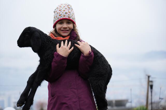 Foto: Julia Perktold