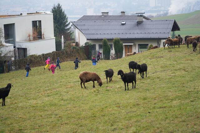 Foto: Julia Perktold