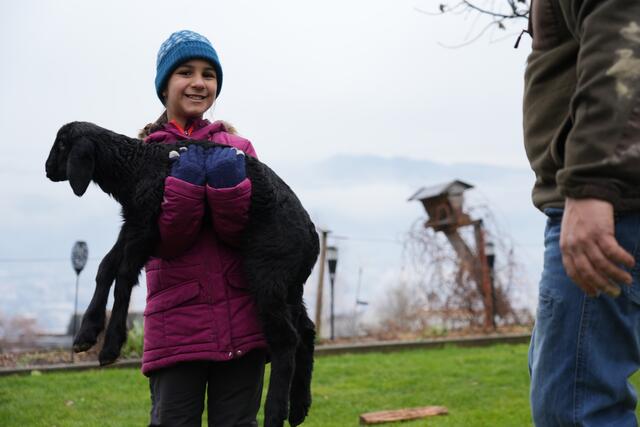 Foto: Julia Perktold