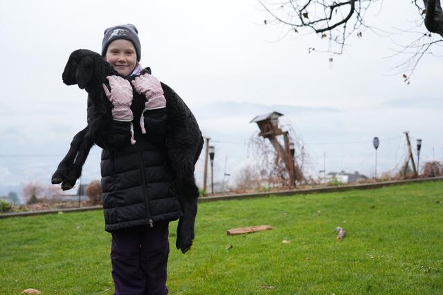 Foto: Julia Perktold