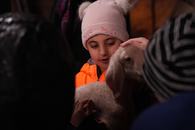 Foto: Julia Perktold