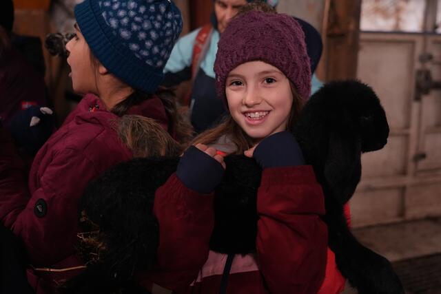 Foto: Julia Perktold