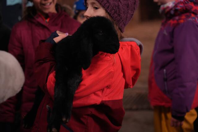 Foto: Julia Perktold