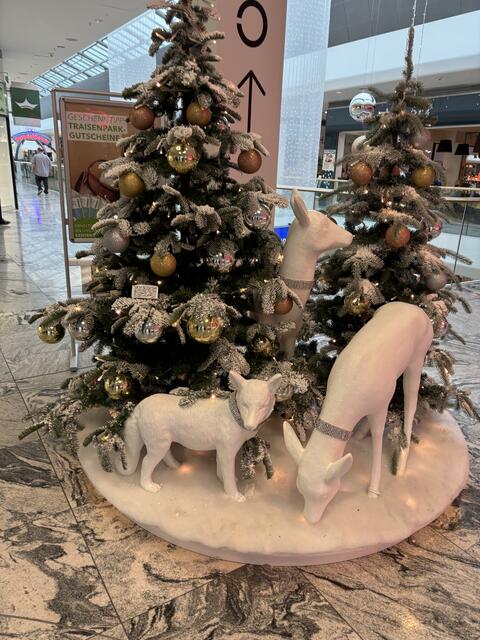 Foto: Martina Schweller