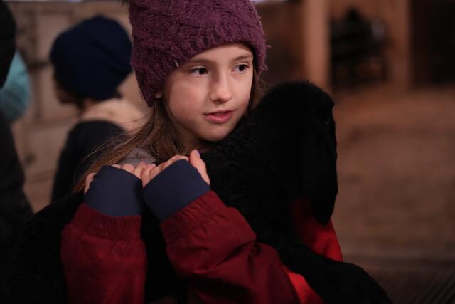 Foto: Julia Perktold