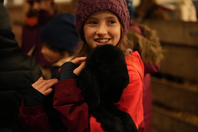 Foto: Julia Perktold