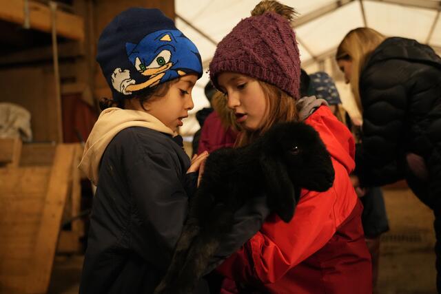 Foto: Julia Perktold