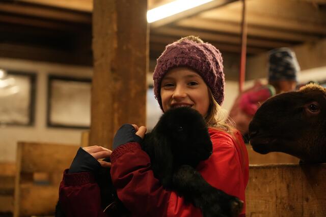 Foto: Julia Perktold