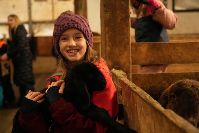 Foto: Julia Perktold