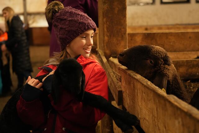 Foto: Julia Perktold