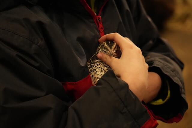 Foto: Julia Perktold