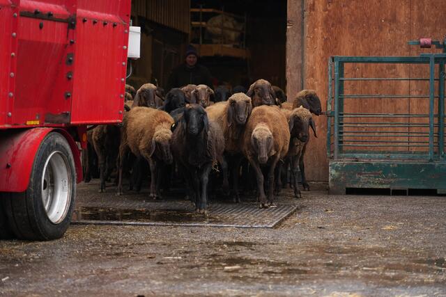 Foto: Julia Perktold