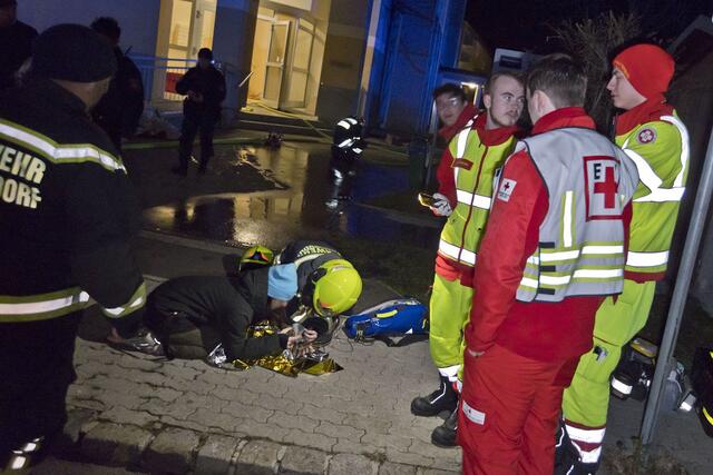 Eine von zwei Hauskatzen konnten die Feuerwehreinsatzkräfte noch ins Freie retten und dort mit Sauerstoff versorgen.  | Foto: BFKDO BADEN / Stefan Schneider