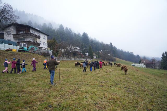 Foto: Julia Perktold