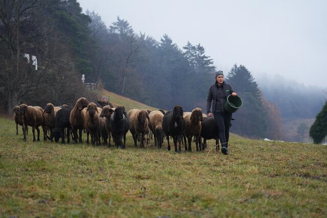 Foto: Julia Perktold