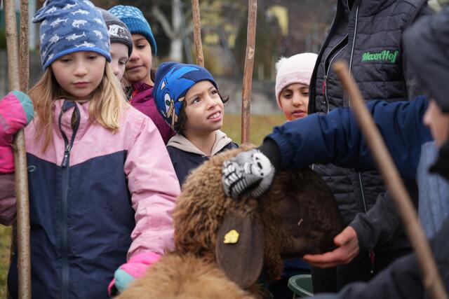 Foto: Julia Perktold