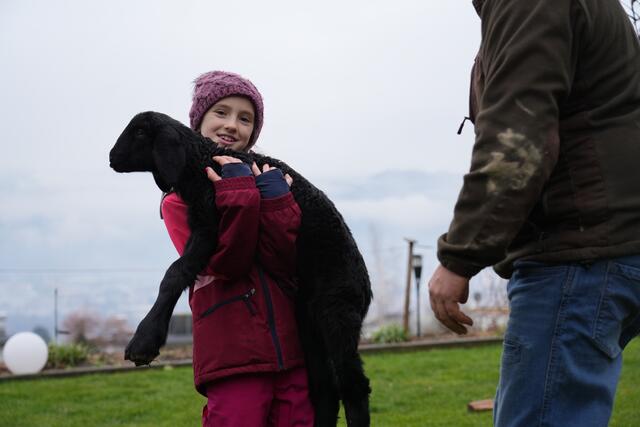 Foto: Julia Perktold