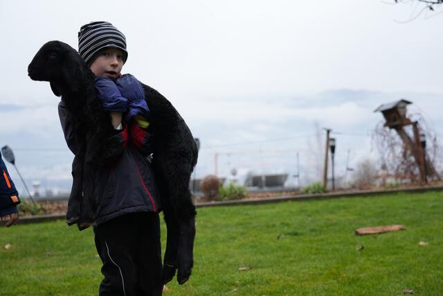 Foto: Julia Perktold