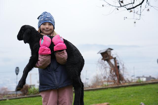 Foto: Julia Perktold