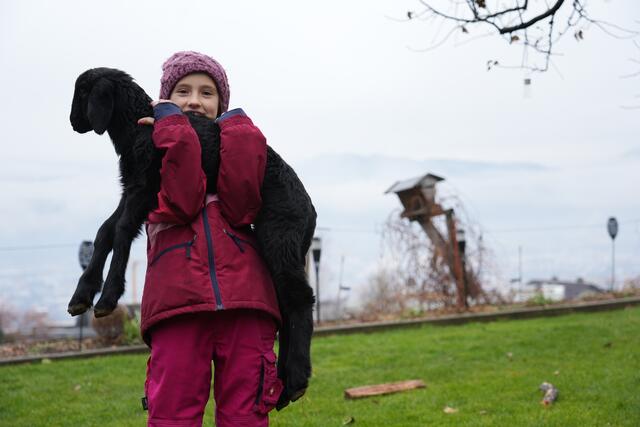 Foto: Julia Perktold