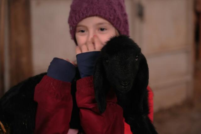 Foto: Julia Perktold