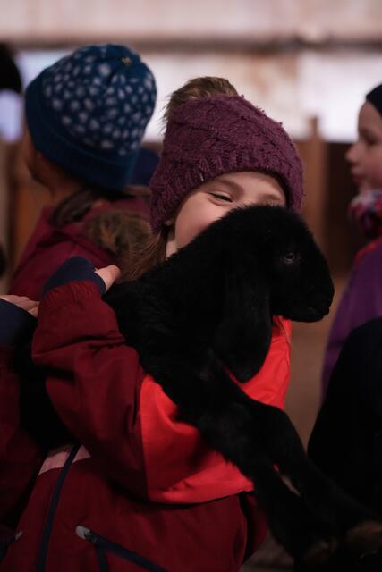 Foto: Julia Perktold