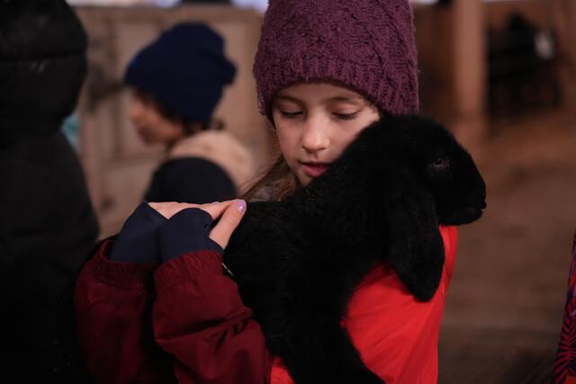 Foto: Julia Perktold