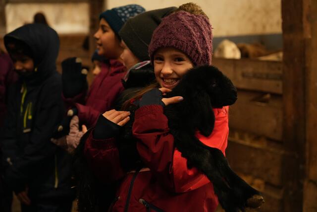 Foto: Julia Perktold