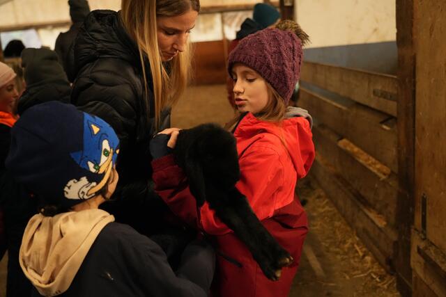 Foto: Julia Perktold