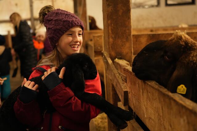 Foto: Julia Perktold