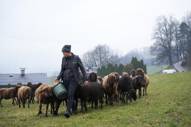 Foto: Julia Perktold