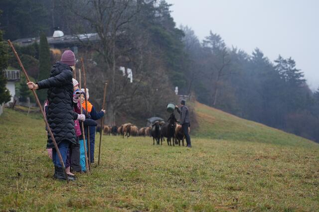 Foto: Julia Perktold