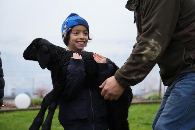 Foto: Julia Perktold