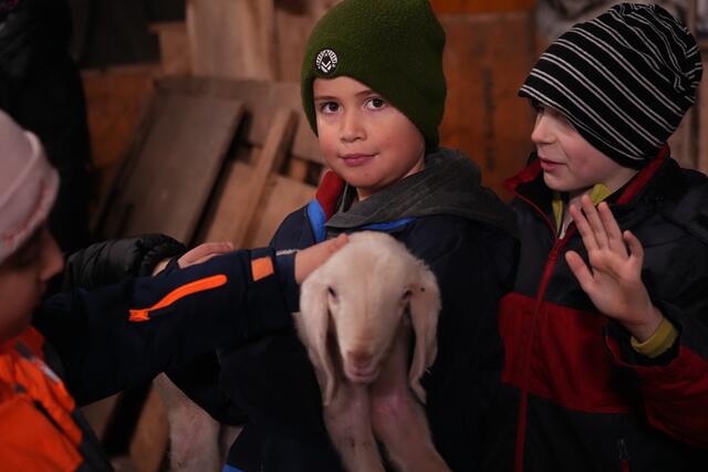 Foto: Julia Perktold