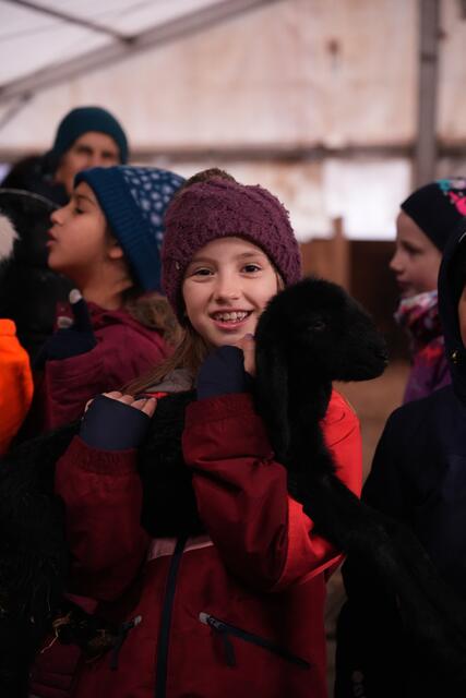 Foto: Julia Perktold